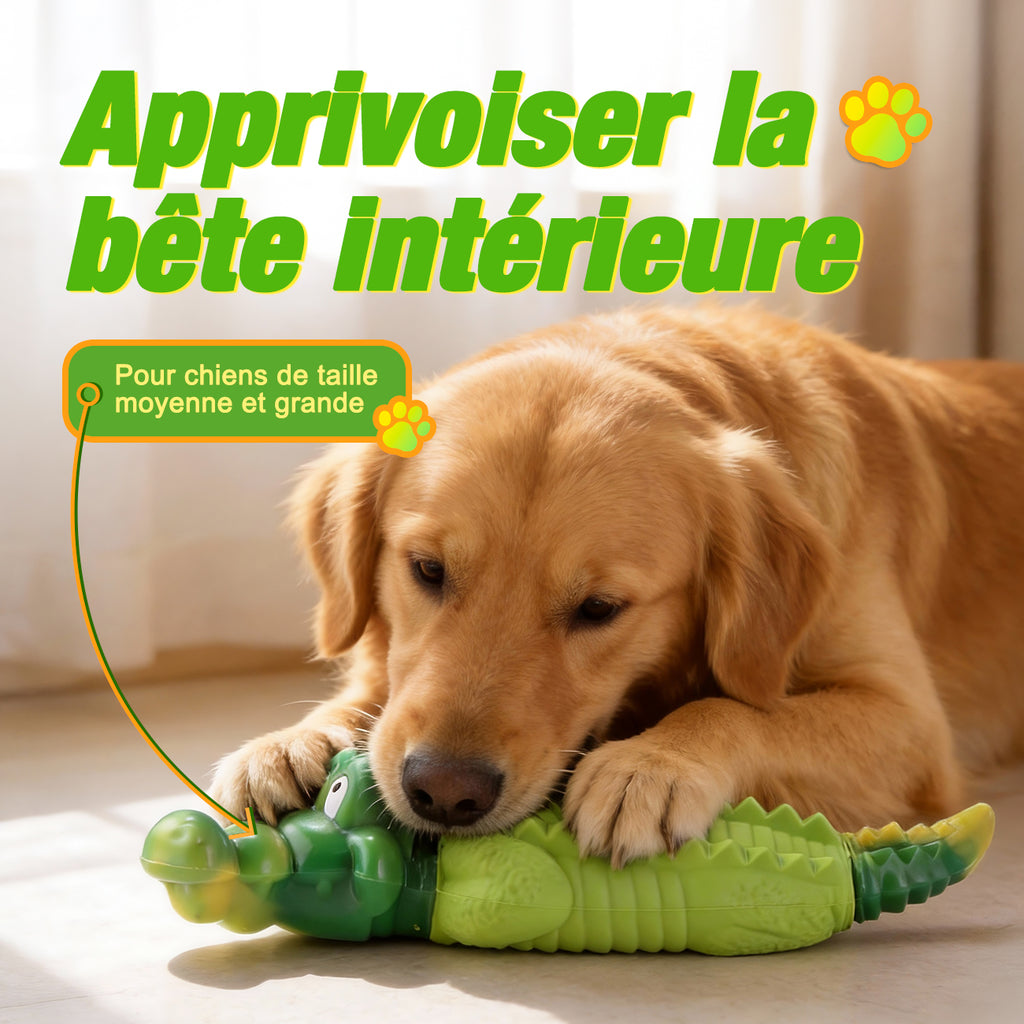Blinkit Jouet à mâcher interactif résistant aux morsures pour chiens moyens et grands, Caoutchouc naturel et nylon, Structure double couche, Convient au rapport