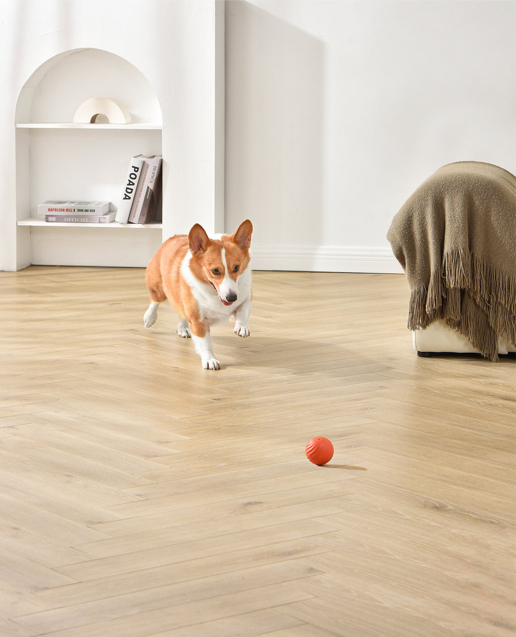PETGRAVITY Balle rebondissante intelligente pour chien de taille moyenne - Orange