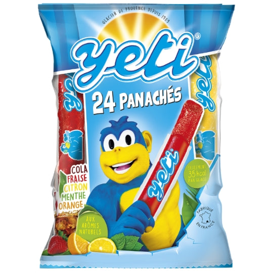 YETI Blocs de Glace Tubes à l'Eau Assortiment 24 – 1,16 kg