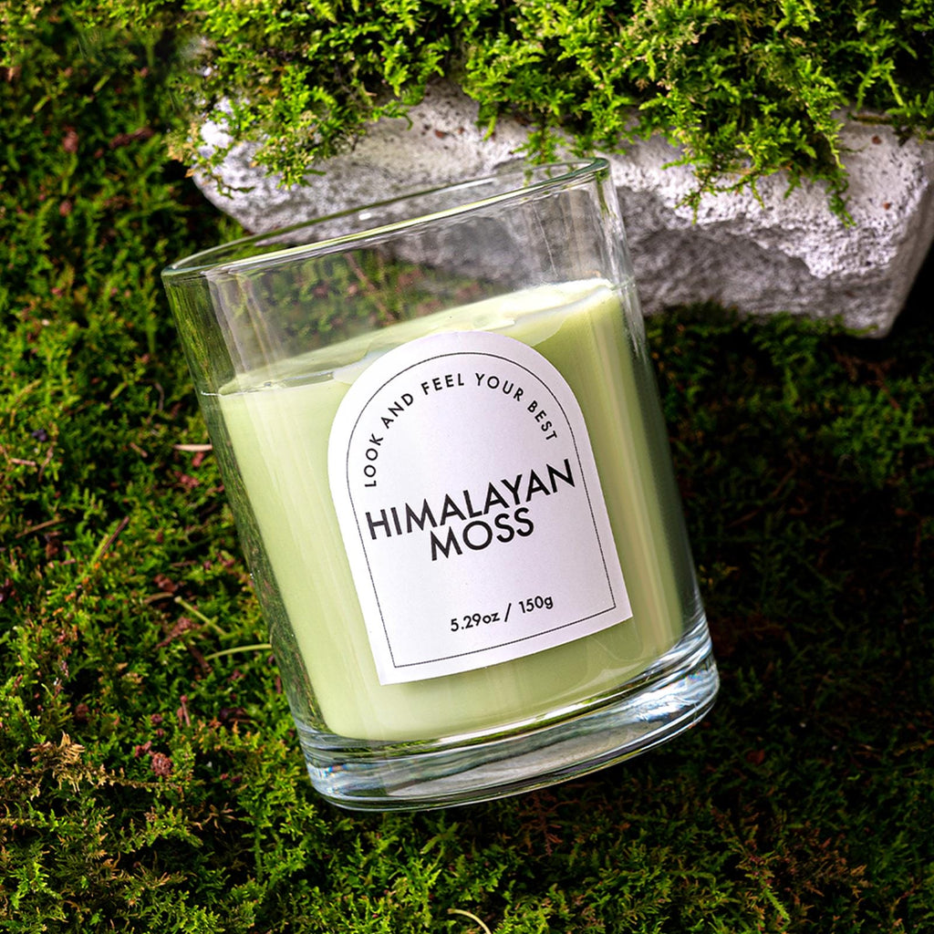 Zooly Bougie parfumée colorée transparente - Mousse de l’Himalaya (Vert clair), 140 g, 1 pc