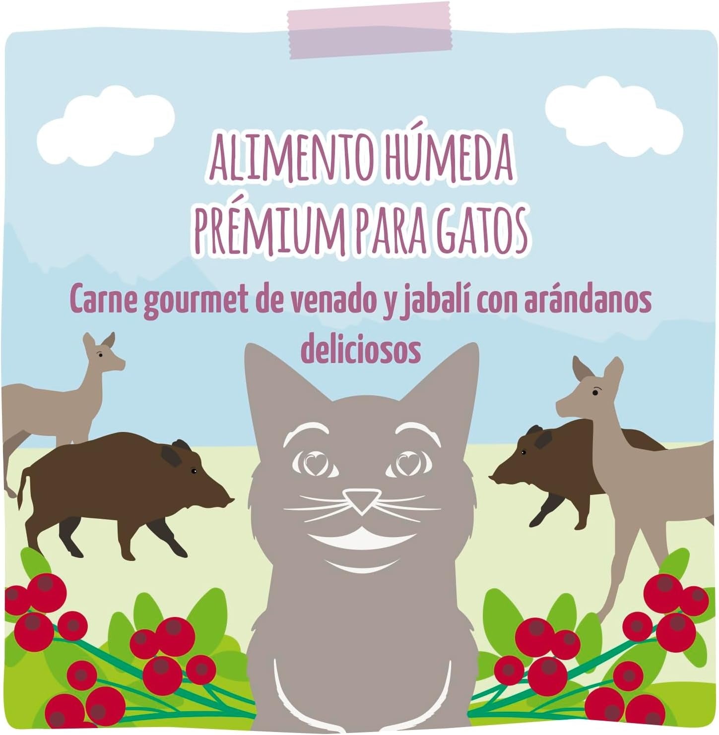 [Peut être servi frais pour l'été] MjAMjAM Nourriture humide culinaire pour chat Jeu canneberge - 400 g x 6