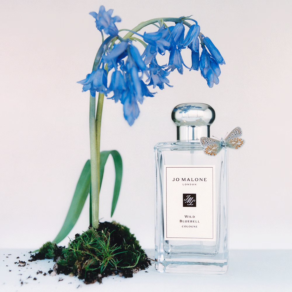 Jo Malone Jacinthe des bois sauvage Eau de cologne en vaporisateur (coffret cadeau) 100 ml