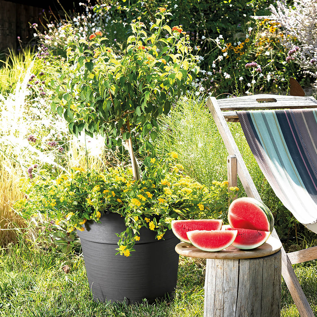 Deroma Vase Save R Anthracite Avec réserve d'eau 48 cm