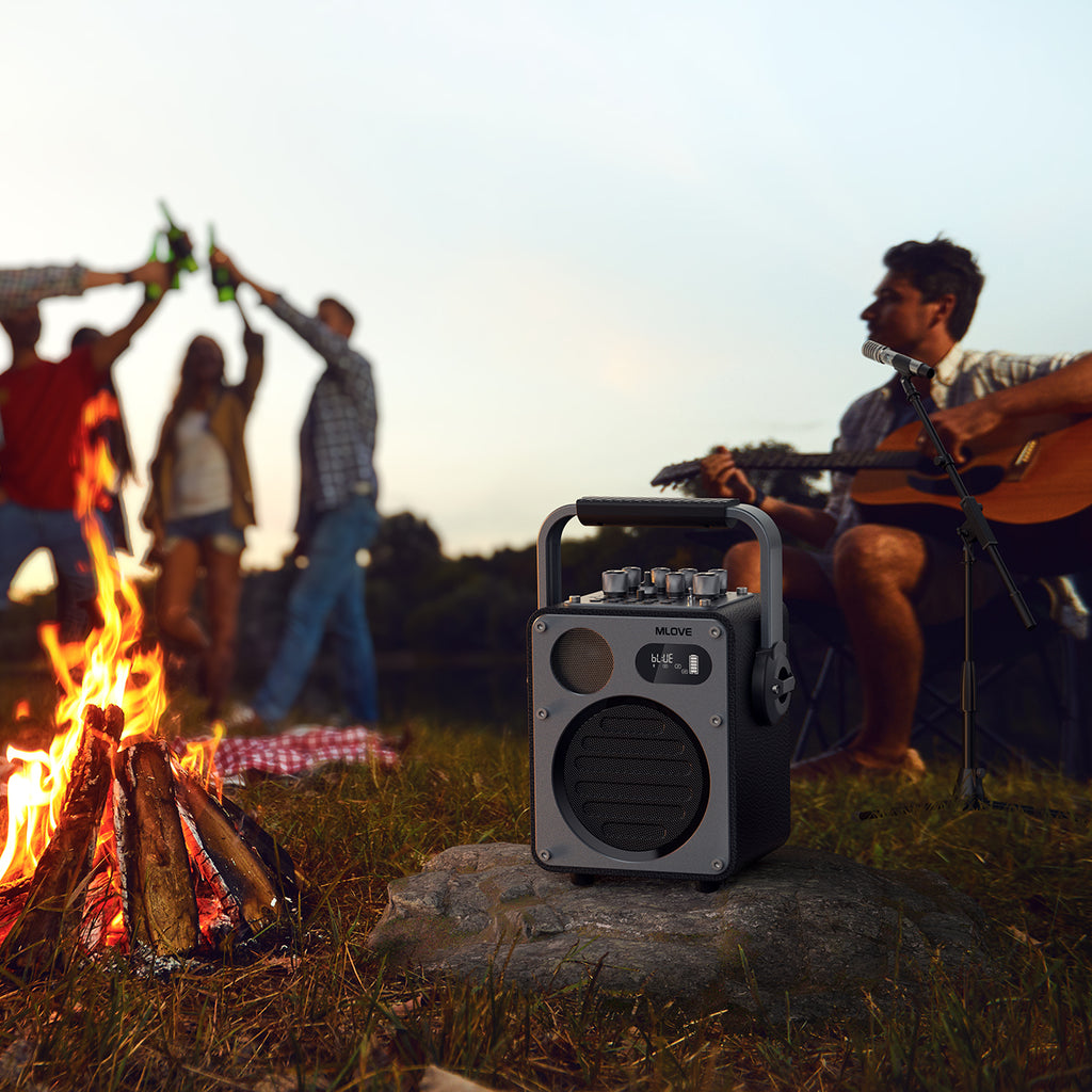 Système de Karaoké Bluetooth Mlove Rangers D4 , Enceinte Portable avec Microphones Sans Fil et Enregistrement Vocal Haute Fidélité