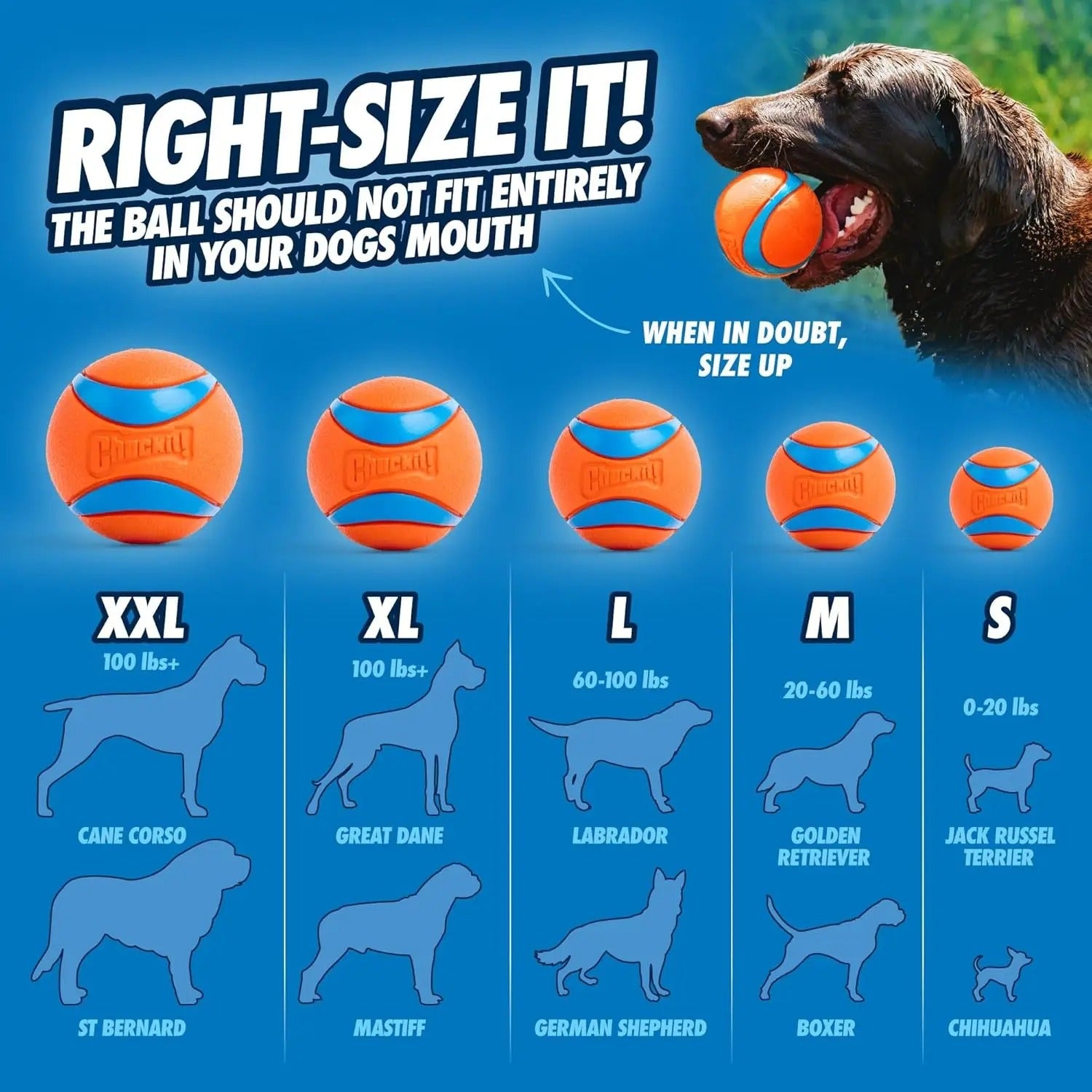 Chuckit! Jouet pour chien Ultra Ball - Taille XXL - 10 cm