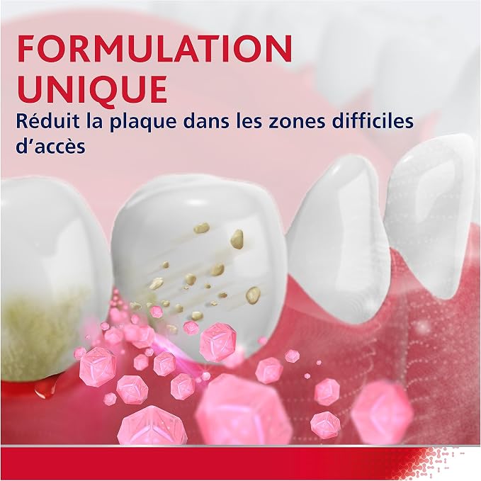 parodontax Dentifrice, Fraîcheur Intense, Dentifrice, Soulage la Sensibilité Dentaire, Extra Frais, Lot de 12 x 75 ml