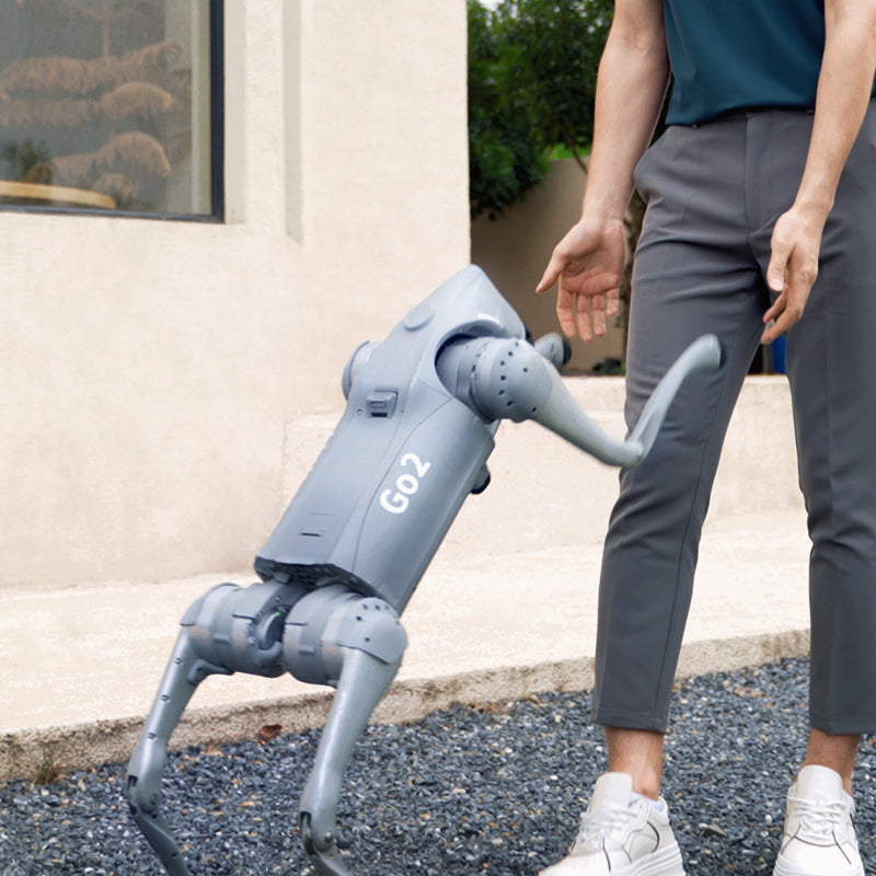 Chien robot quadrupède bionique Unitree Go2 Pro haute performance | Vitesse maximale 4,7 m/s + autonomie 90 min | Robot compagnon bionique à intelligence incarnée, animal électronique | Vision panoramique 360° + navigation SLAM + modes IA | Adapté à
