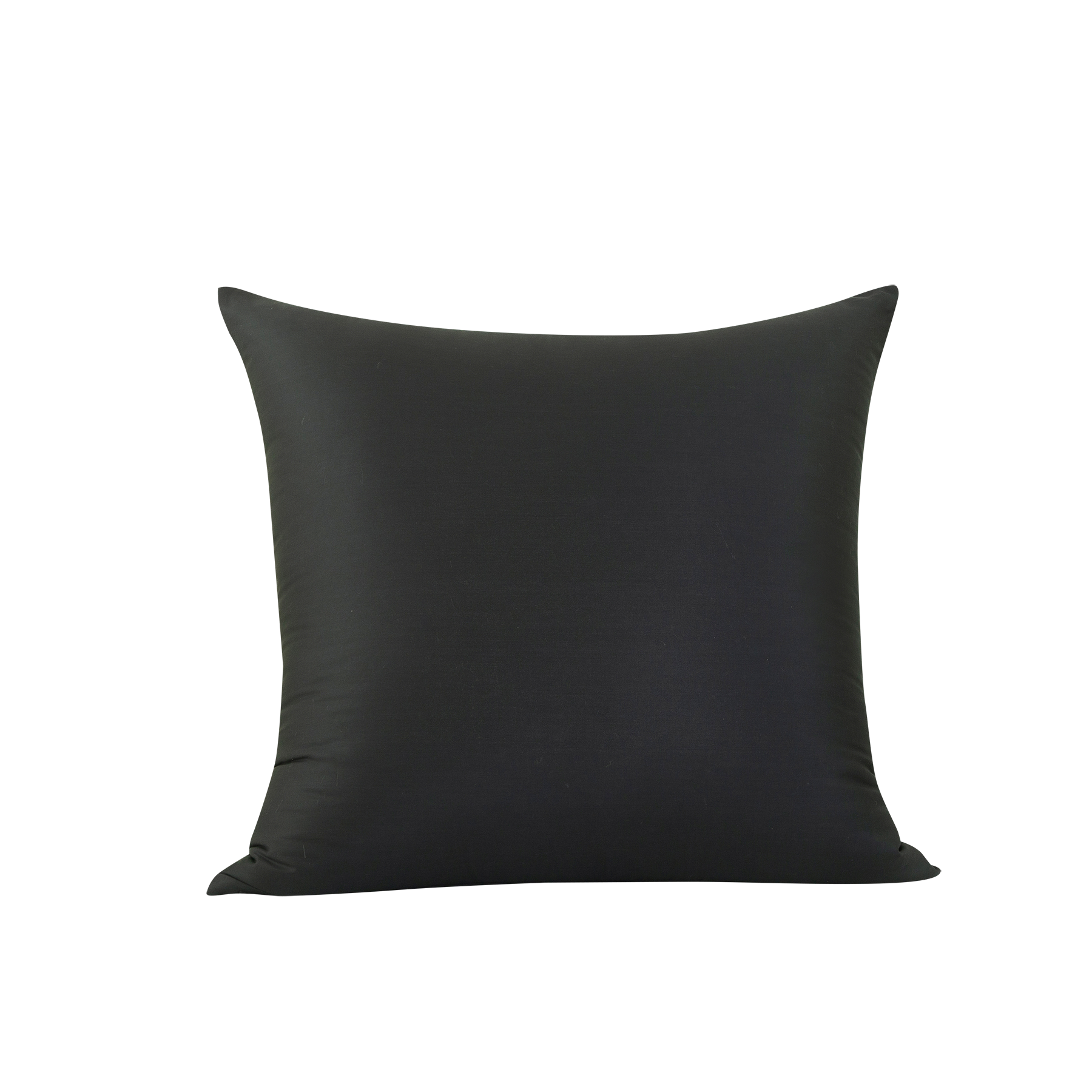 Lot de 2 taies d'oreiller en bambou noir, 80 x 80 cm x 2