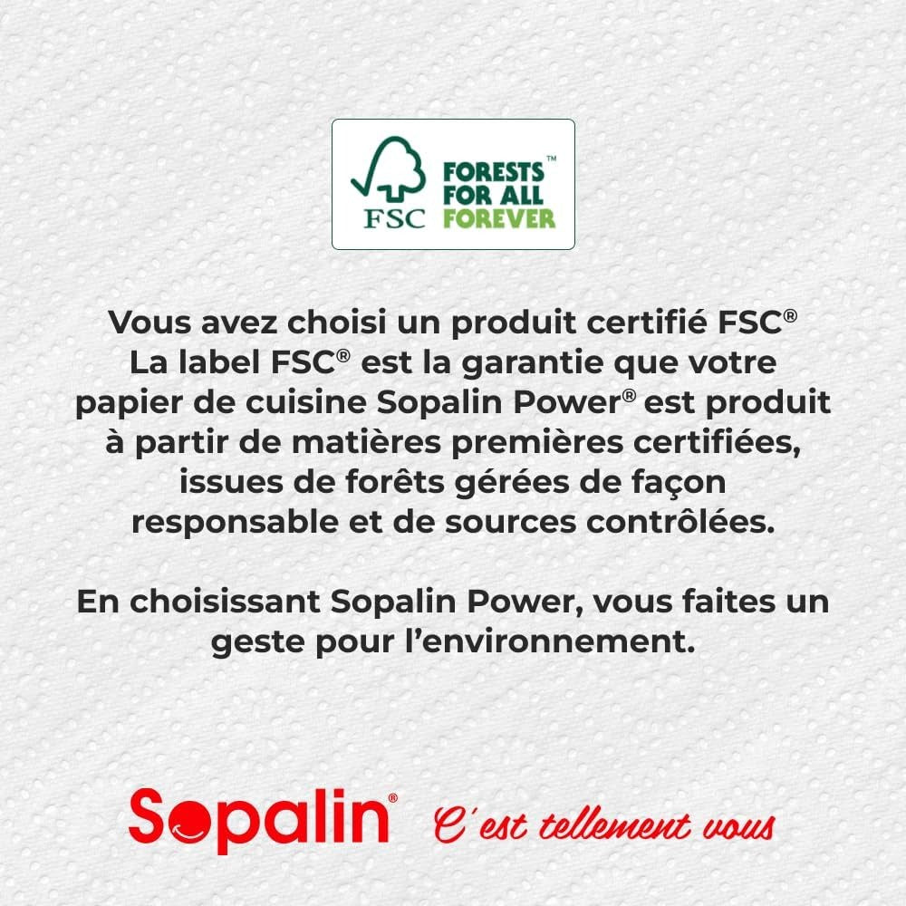 SOPALIN Essuie-Tout 2 Épaisseurs Résistance Extra à l'Humide, 45 Feuilles par Rouleau, 3 Rouleaux