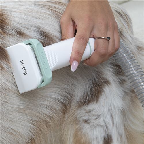 Aspirateur à main pour toilettage animaux HKoenig PAW400 300 W Blanc