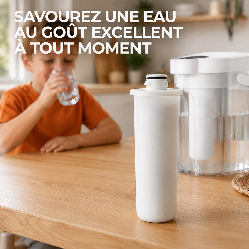 ROUNY Filtre de remplacement P1-UF, compatible avec le purificateur d'eau de bureau Pure 1, tige en carbone et membrane d'ultrafiltration UF