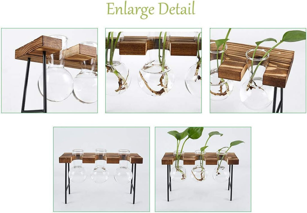 Senhoglb Support pour plantes aériennes