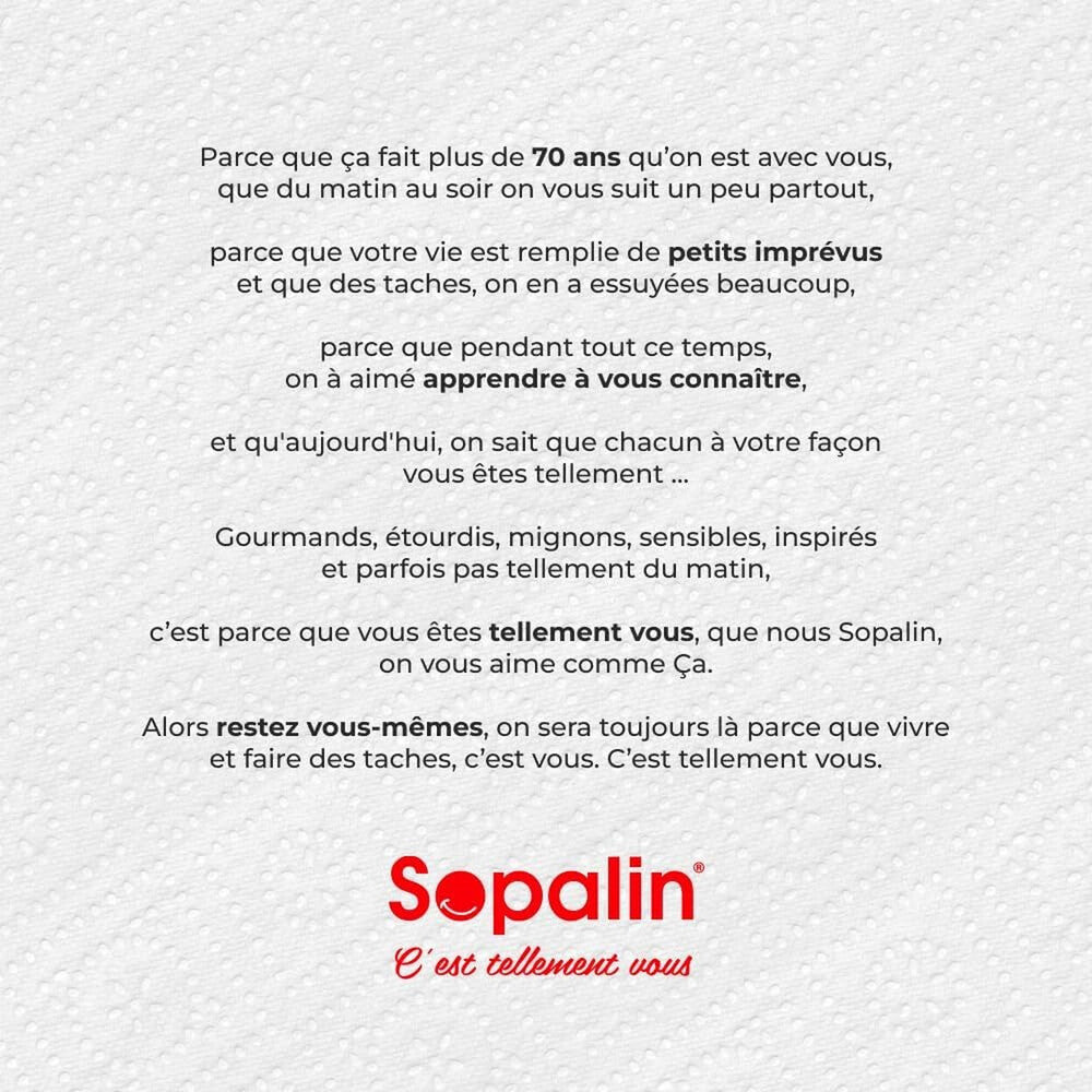 SOPALIN Essuie-tout 2 Épaisseurs Ultra-résistant, 750 Feuilles, 3 Maxi Rouleaux (Équivalent à 15 Rouleaux Standard) (3 Paquets de 1)