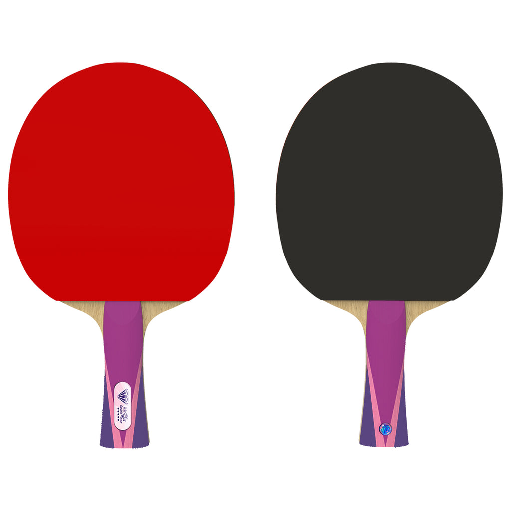 DOUBLE FISH Série Diamant 5 étoiles Raquettes de ping-pong d’entraînement version shakehand