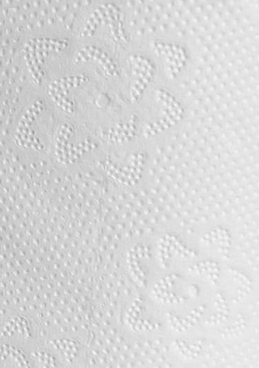 BULKY SOFT Papier toilette 2 épaisseurs certifié Ecolabel 36 rouleaux (3 x 12)