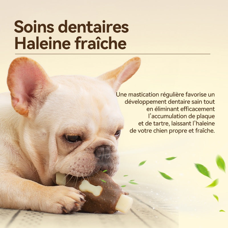 BLINKIT Jouet à mâcher en forme d’aile de poulet en cuir de vachette et nylon pour chiens - 15 × 8 × 3 cm