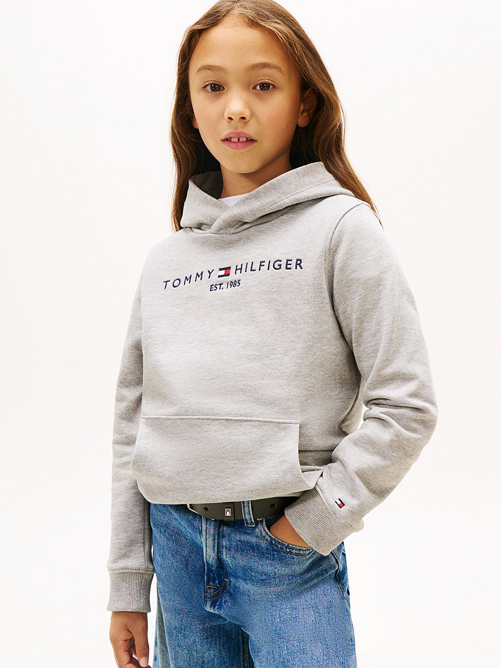 Tommy Hilfiger Sweat à capuche basique Gris 8