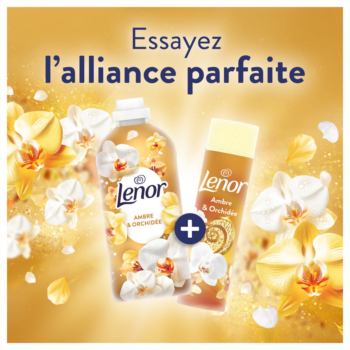 Lenor Parfum de linge en perles Ambre et orchidée 240 g