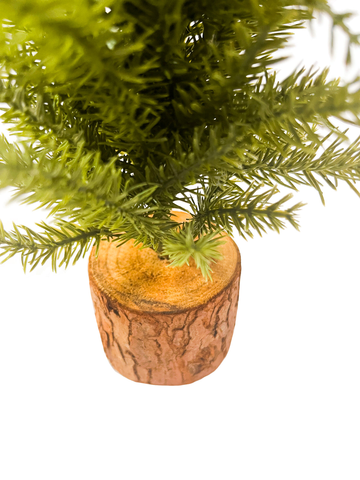 Daisy Darcy Arbre de table 35 cm Base en écorce Matériau naturel : Base en écorce