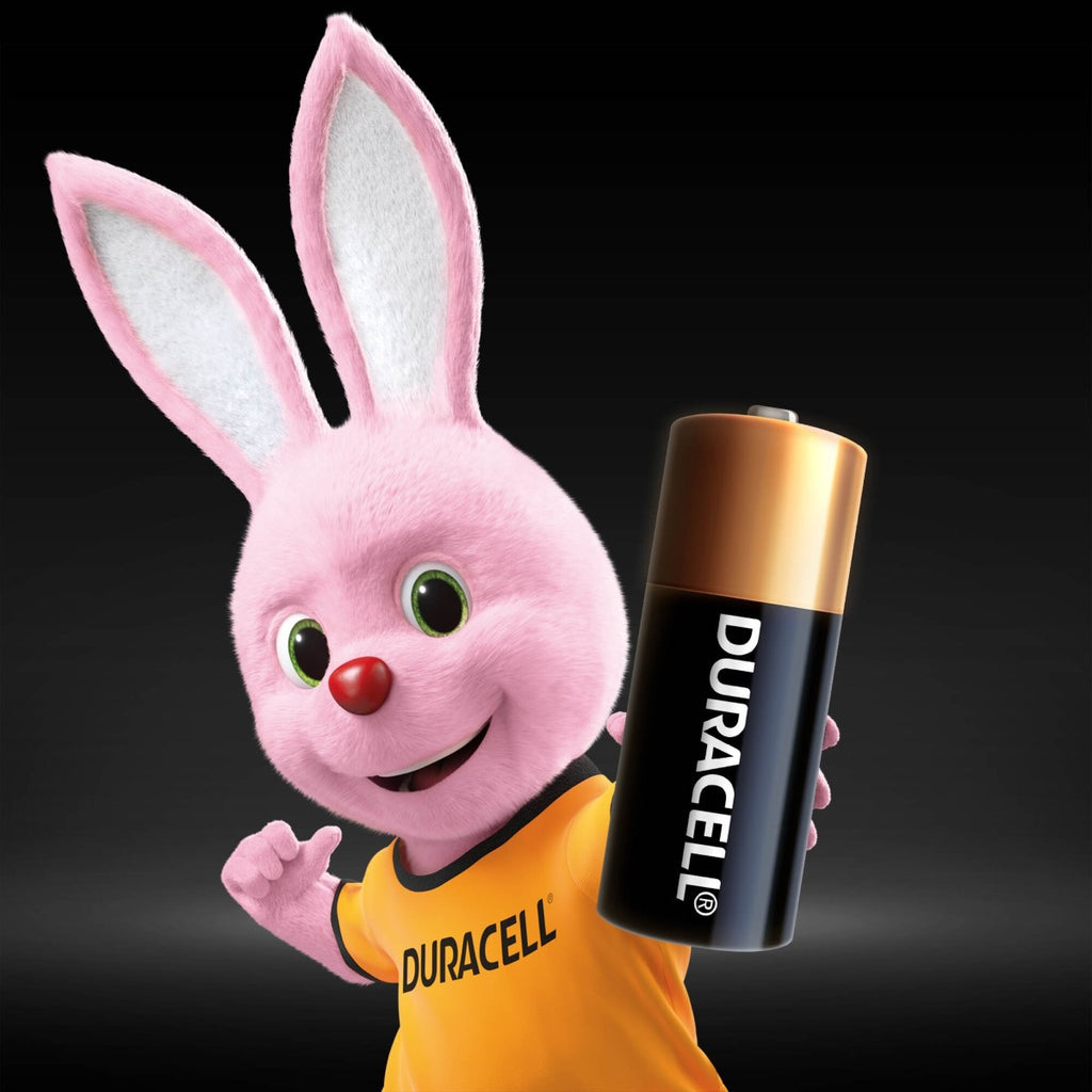 DURACELL Piles alcalines spéciales N 1,5 V (E90 / LR1), conçues pour une utilisation dans les lampes de poche, calculatrices et phares de vélo, lot de 2 piles