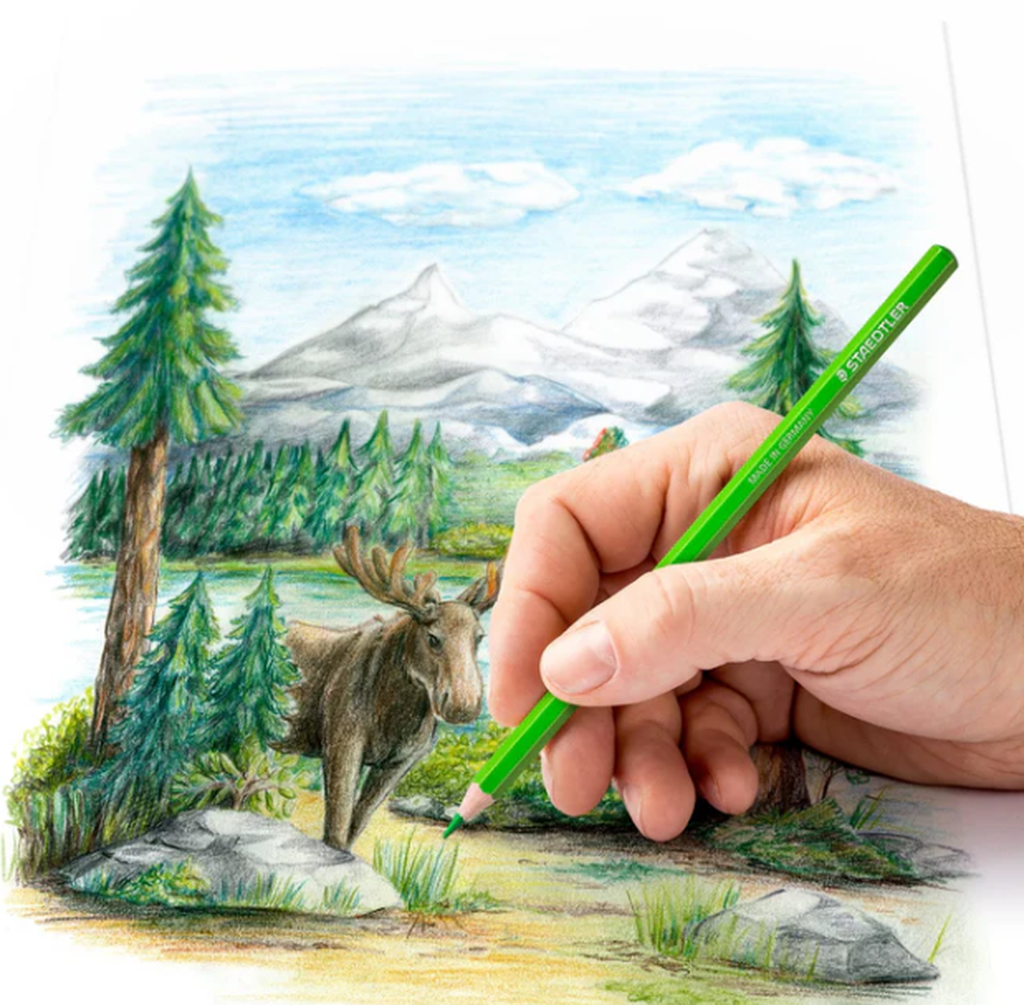 STAEDTLER - Crayons de couleur 24 pièces 146C C24