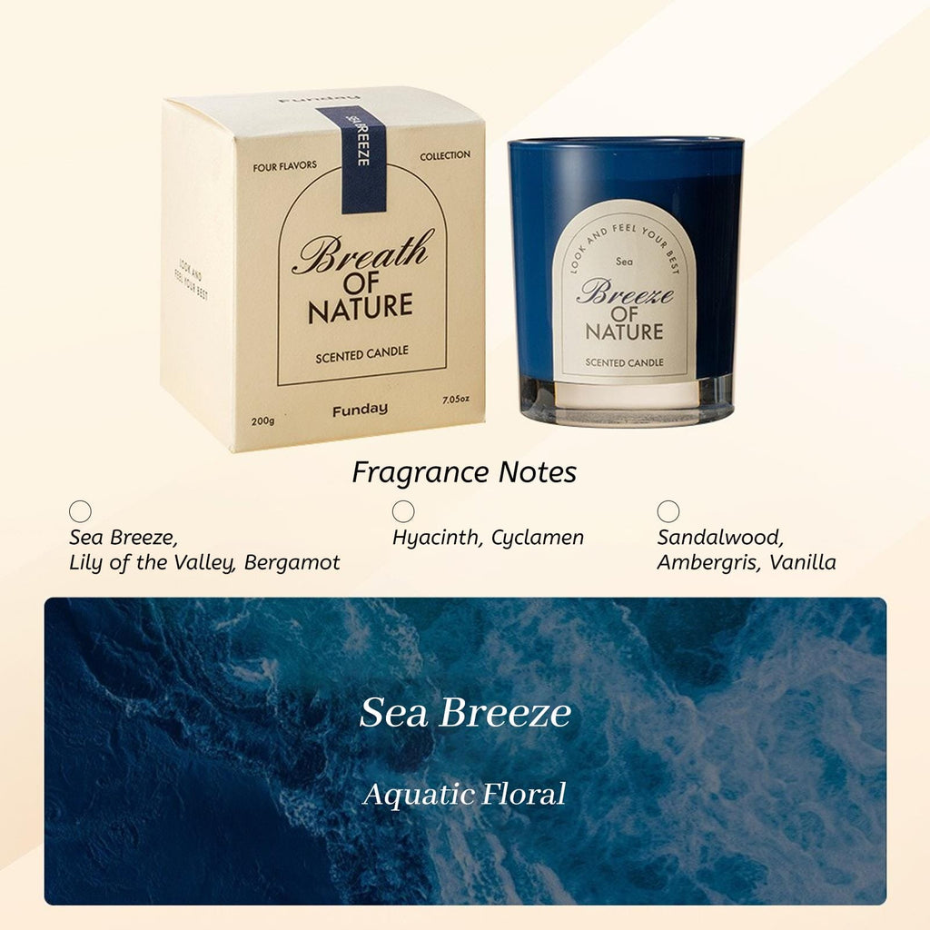 Zooly Bougie parfumée en pot à fond épais - Souffle de nature, Brise marine (Bleu), 200 g, 1 pièce