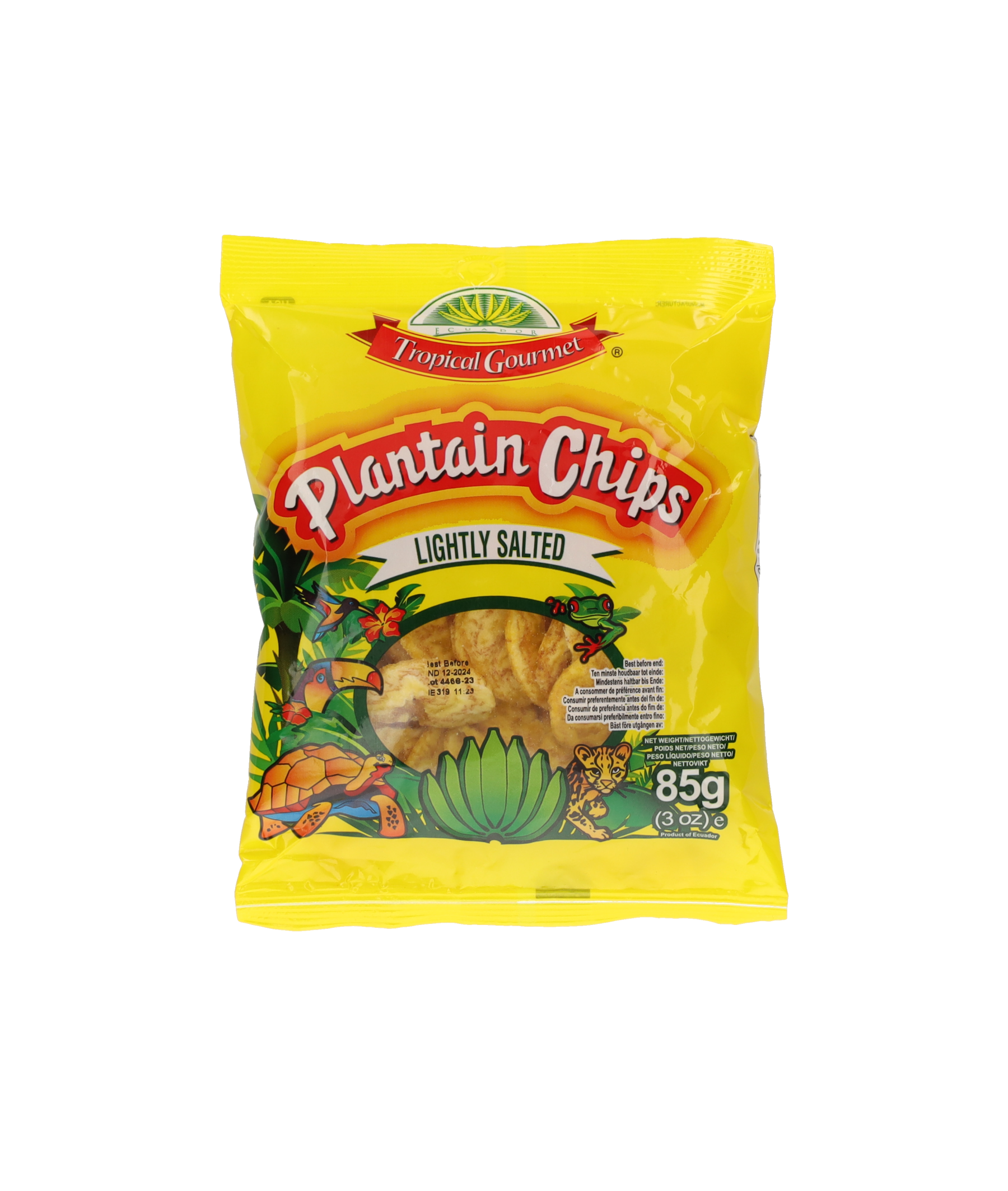 TG Chips de banane plantain salées - 85 g