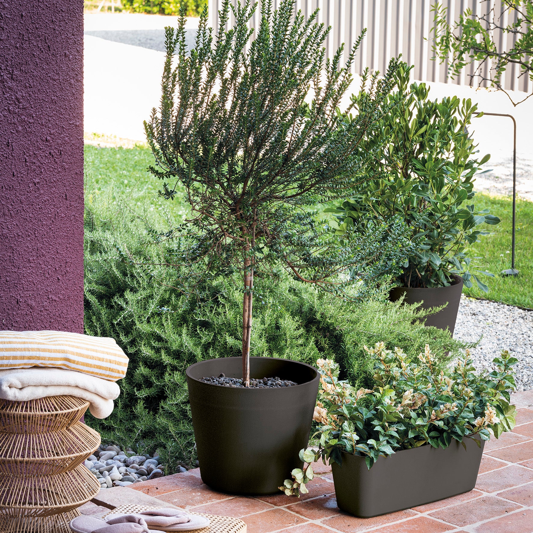 Deroma Origin Support pour plantes, Gris anthracite, 59 cm