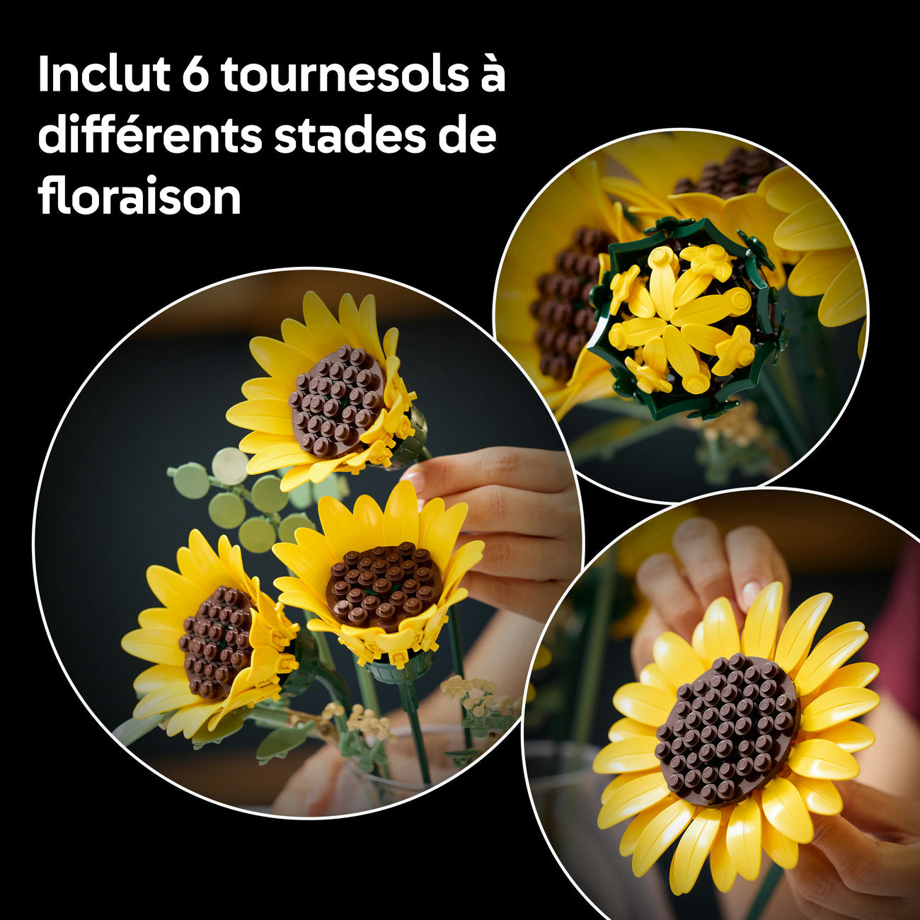 LEGO Botanicals 11502 Le bouquet de tournesols