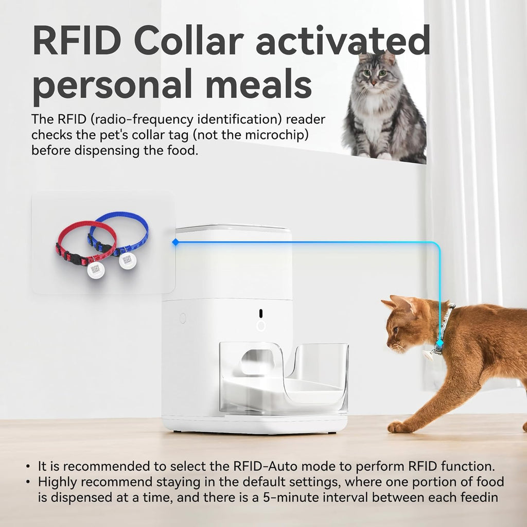 CATLINK FRESH 2-F04 Distributeur intelligent IA, Blanc, contrôle des portions personnalisable, surveillance IA, capacité 4 L, conserve la nourriture fraîche 20 jours, fonctionnement hors ligne pris en charge