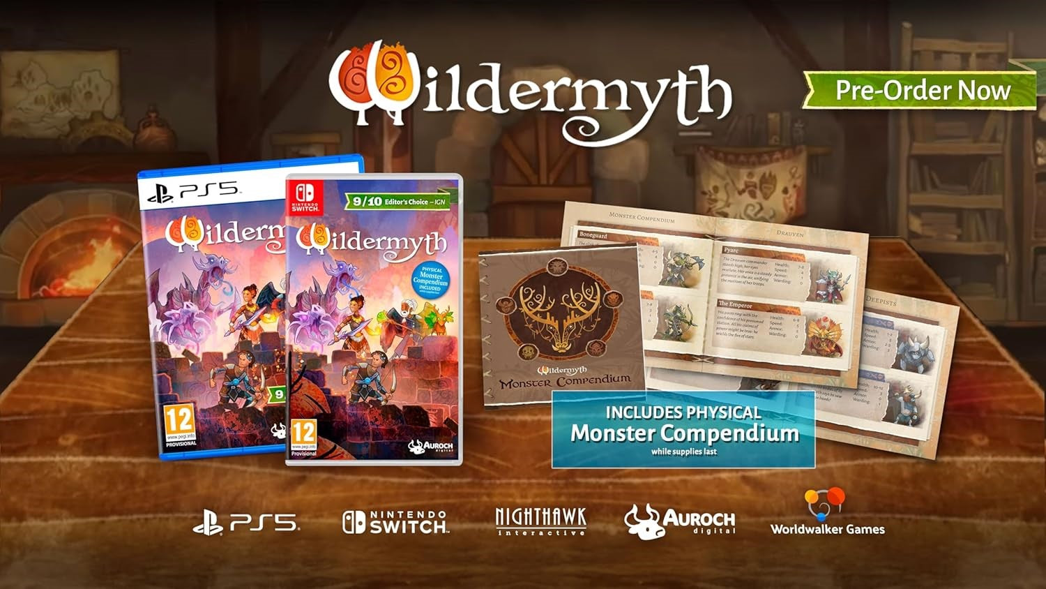 Wildermyth - Nintendo Switch - Version française