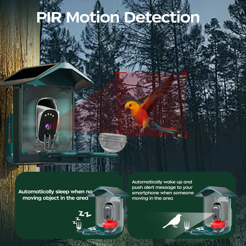 JOOAN Alimentateur intelligent solaire pour oiseaux Wi‑Fi - Capte des photos et des vidéos Ultra HD 2K ! - Le cadeau parfait pour les amateurs d’ornithologie !