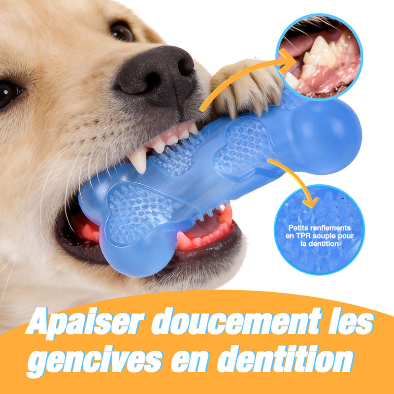 Blinkit Ensemble de jouets de dentition pour animaux, jouets pour chiens forme d’os fromage, pour nettoyage des dents, adapté à toutes les races de chiens