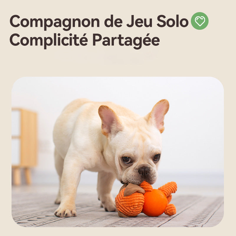 Blinkit Jouets en peluche pour chiens avec couineur, Velours côtelé épais et caoutchouc naturel, Jouet à mâcher nettoyant les dents, Jouets en peluche rembourrés doux pour toutes races de chiens