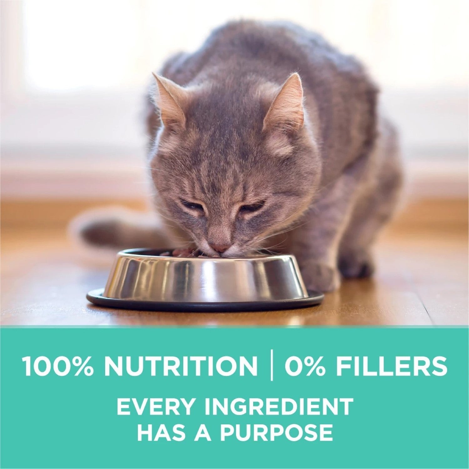 Purina Aliment sec pour chat à la dinde Sensitive 450 g 1 sachet