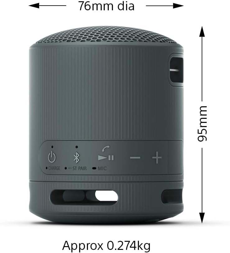 Sony SRS-XB100 Enceinte Bluetooth portable