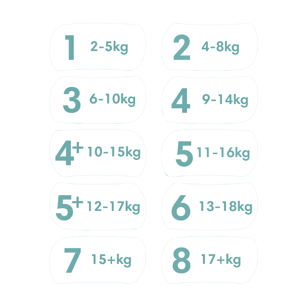 PAMPERS Baby-Dry Pack 1 Mois, Taille 5, 168 couches