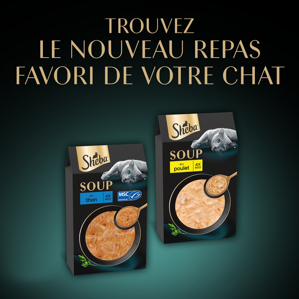 Sheba Délices du Jour à la Volaille - Aliment pour chat - 6 x 50 g