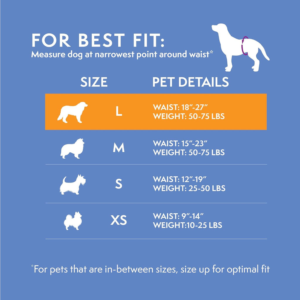 Simple Solution Couches jetables pour chiens, grand paquet de 12