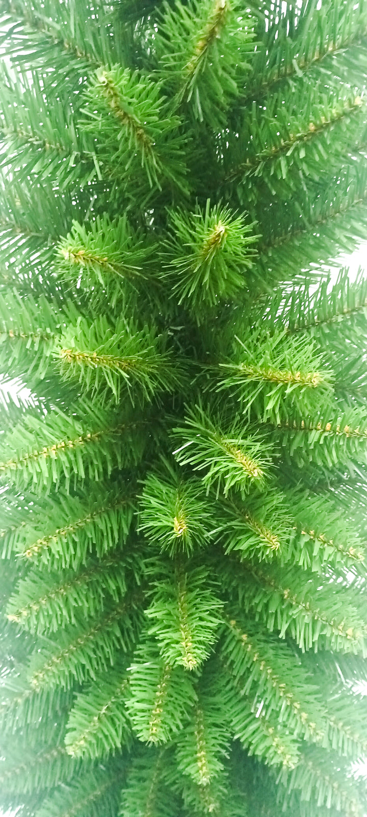 Daisy Darcy Sapin fin vert de 5 ft, Construction enveloppée, Support en métal, Diamètre de 51 cm