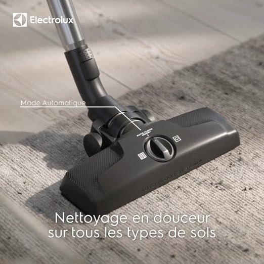 Electrolux 600 EB61C4OG Aspirateur traîneau avec sac