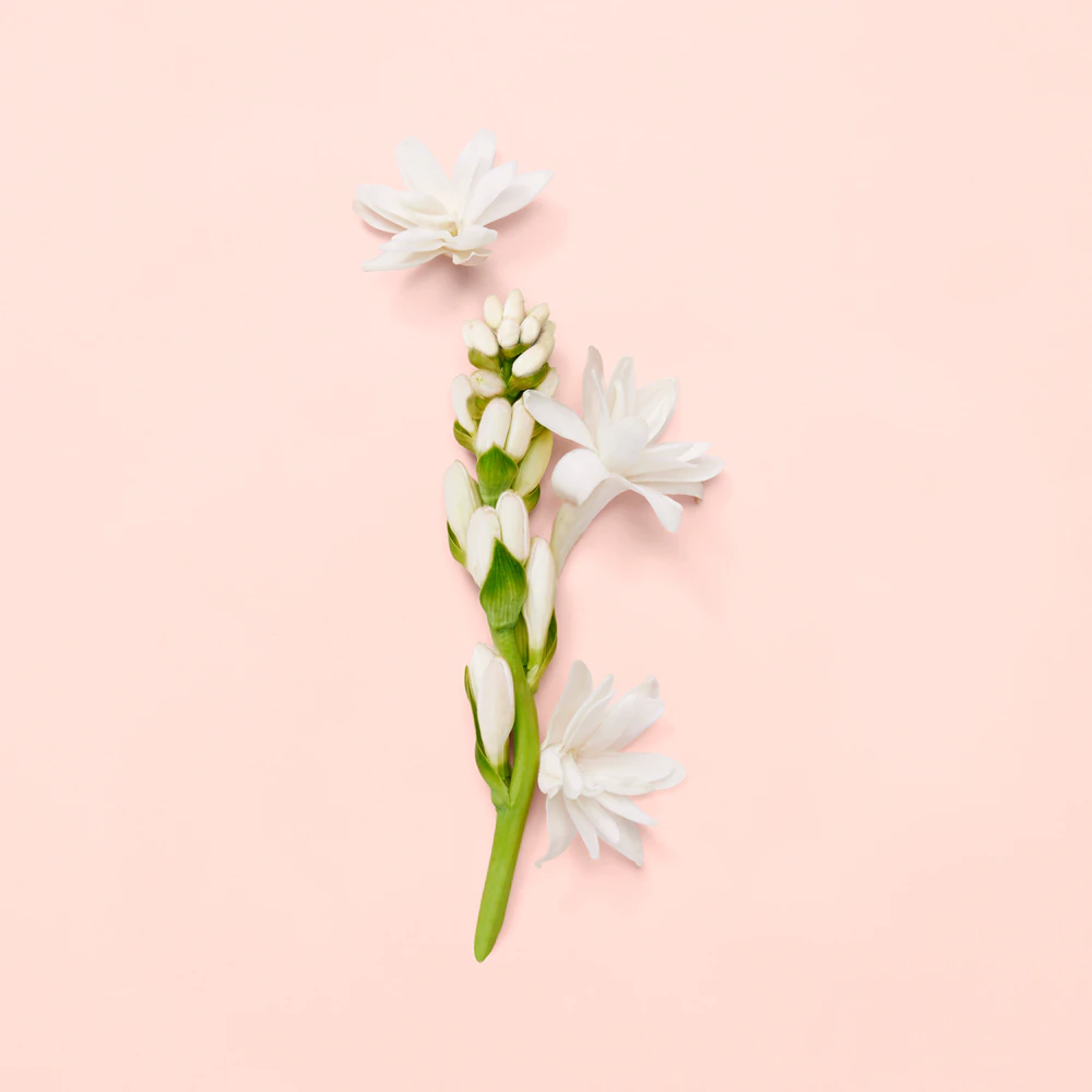 GUCCI Bloom Eau de Parfum Vaporisateur 30ml
