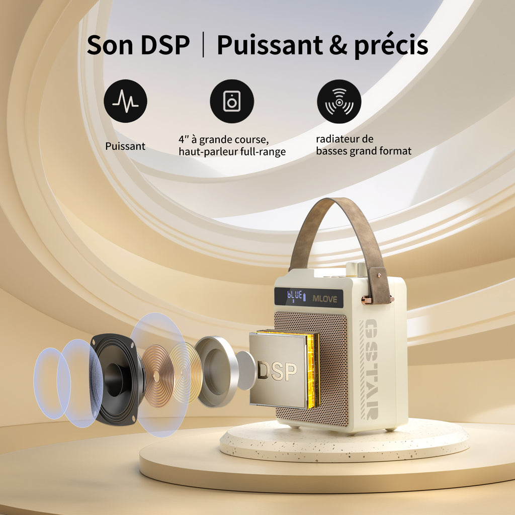 Mlove N5 Système tout-en-un karaoké et PA avec casque sans fil + micro sans fil à main, processeur audio DSP Pro