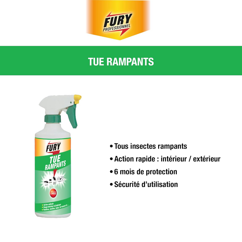 FURY Spray insecticide insectes rampants protection 6 mois intérieur et extérieur 500 ml