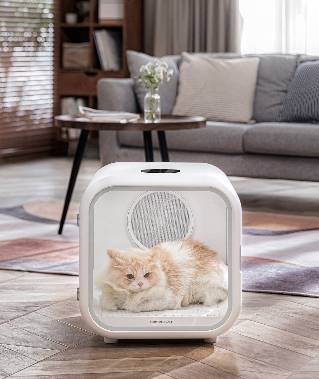 Homerunpet Drybo Plus Séchoir automatique pour chiens et chats, capacité 62 L, 437 x 467 x 486 mm, température, niveau de chaleur, débit d’air et durée de séchage personnalisables, double mode, adapté à tous les stades de vie des chats