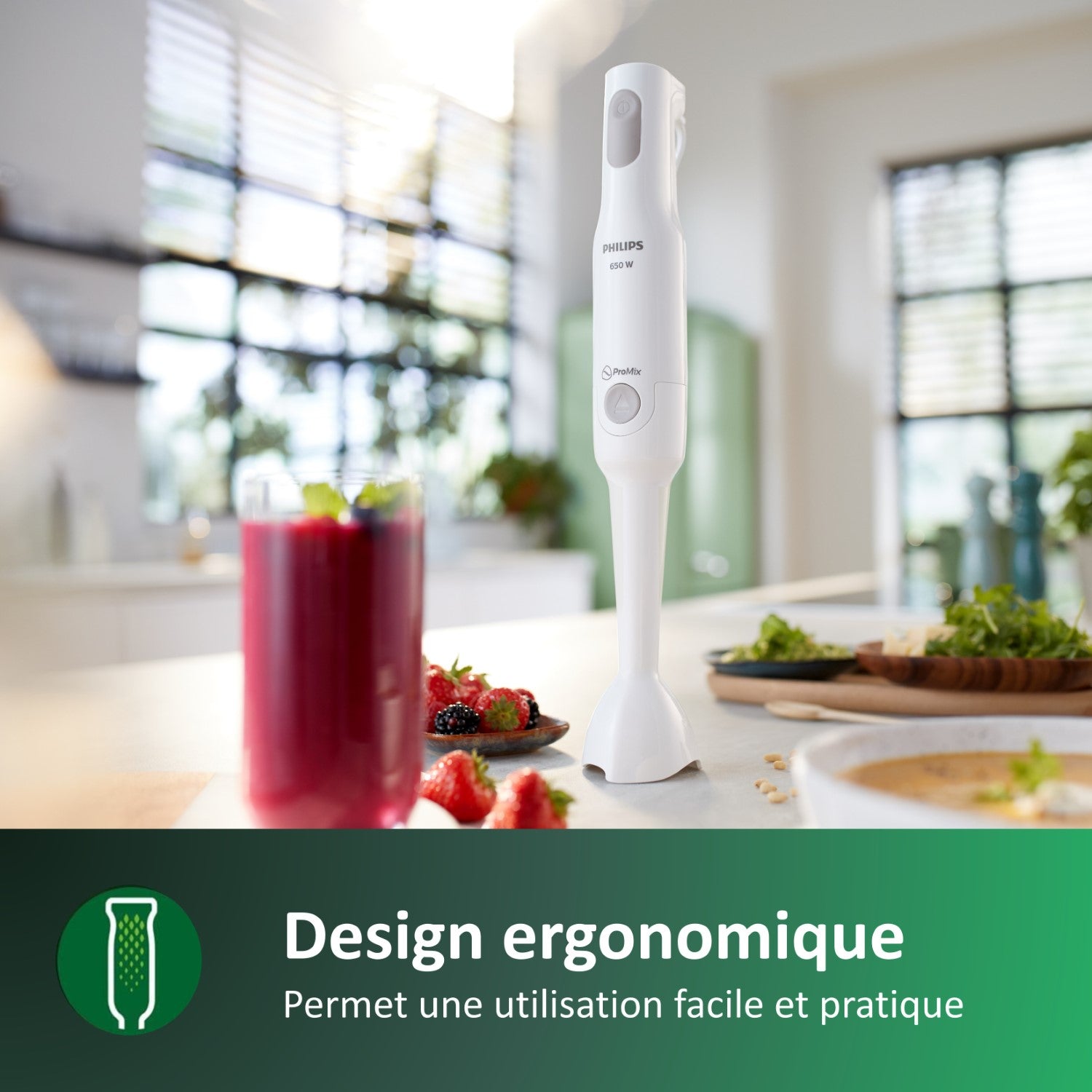 Philips HR2531/00 ProMix Daily Série 3000 Mixeur plongeant blanc 650 W