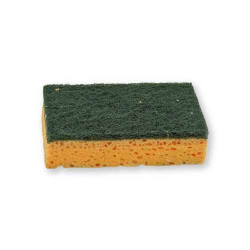 NICOLS Éponges à Récurer Multi-Usages Classiques, Double Face, 11 x 7 x 3 cm, 10 Pièces