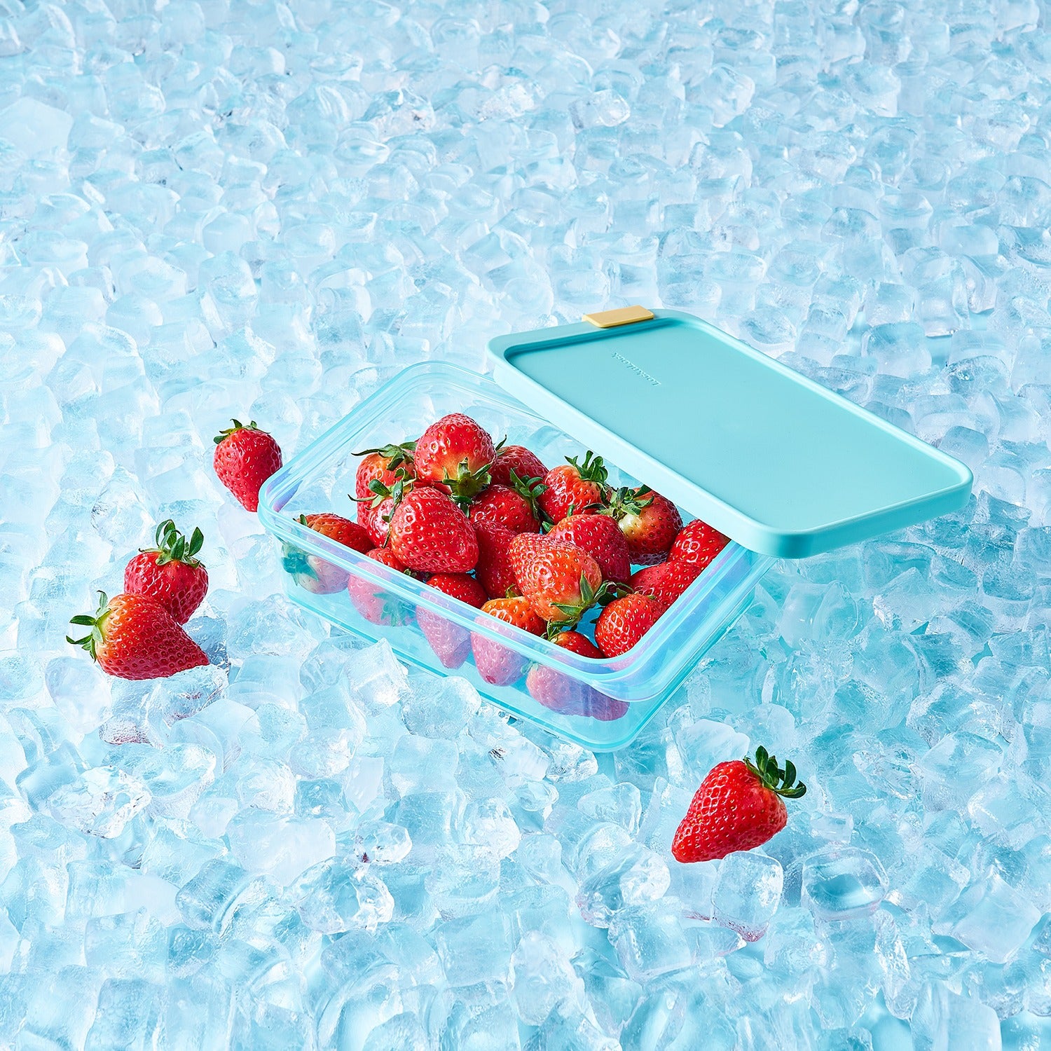 LocknLock Freezer Fit rectangulaire 1,05 L