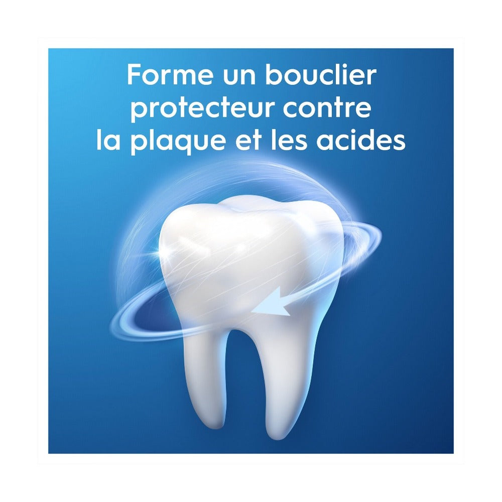 Oral B Pro Expert Protective Pro Extra Fresh Mint Toothpaste 75 ml - Pack of 3 (3 x 75ml = 3 tubes)