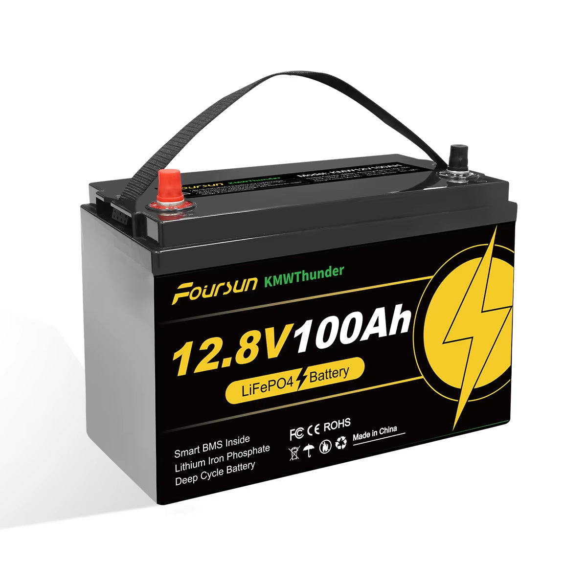 Foursun Batterie LiFePO4 12 V 100 Ah avec protection BMS à basse température, avec chargeur, plus de 4500 cycles pour camping-car/solaire/camping